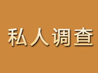 武山私人调查