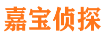 武山侦探社